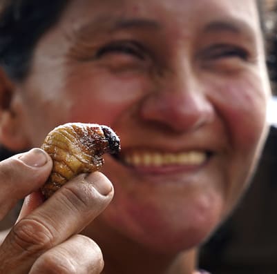 Tuyu-tuyu: el viscoso y nutritivo manjar de la Amazonía boliviana